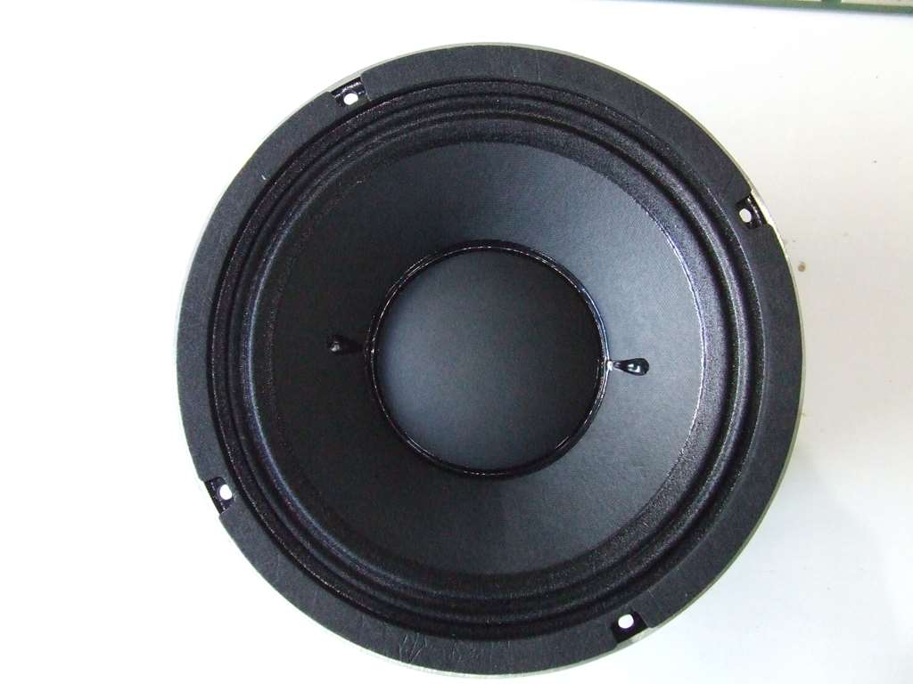 ALTOPARLANTE PROFESSIONALE WOOFER MID BASSO 25CM 10 POLLICI