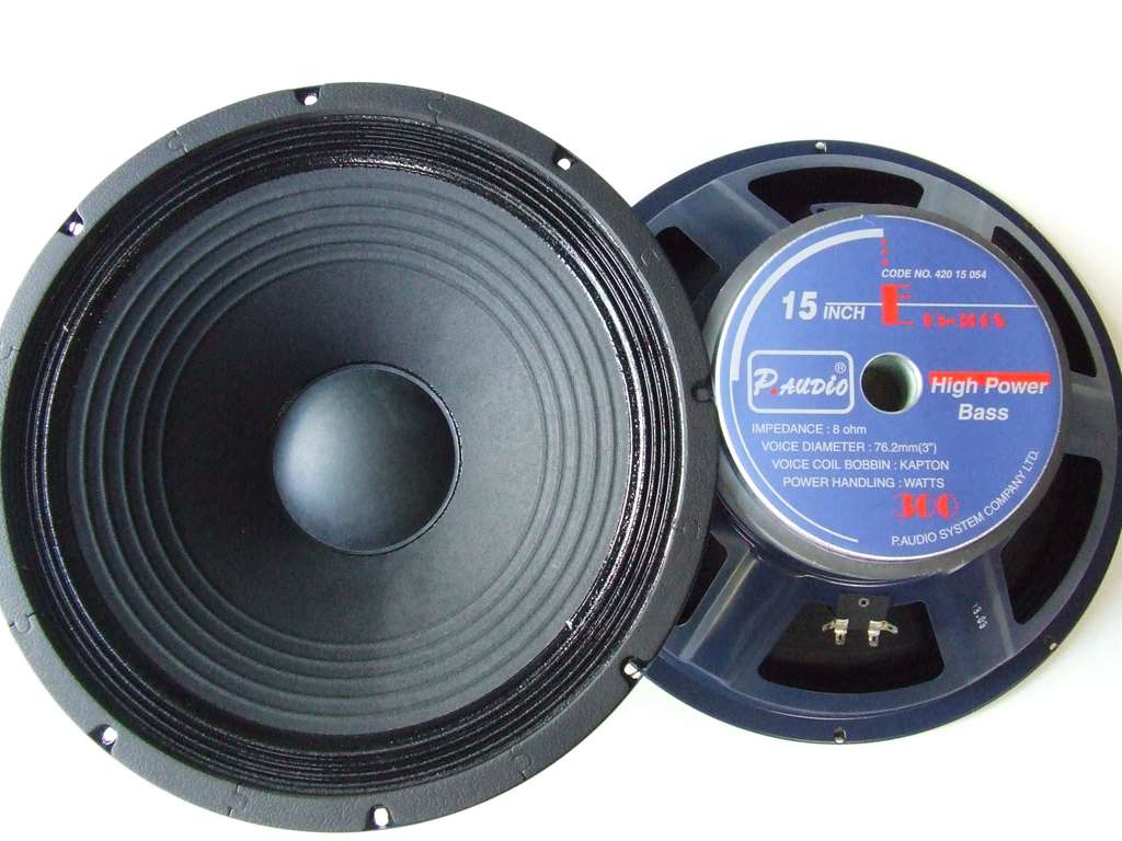 ALTOPARLANTE PROFESSIONALE WOOFER 38 CM 15 POLLICI