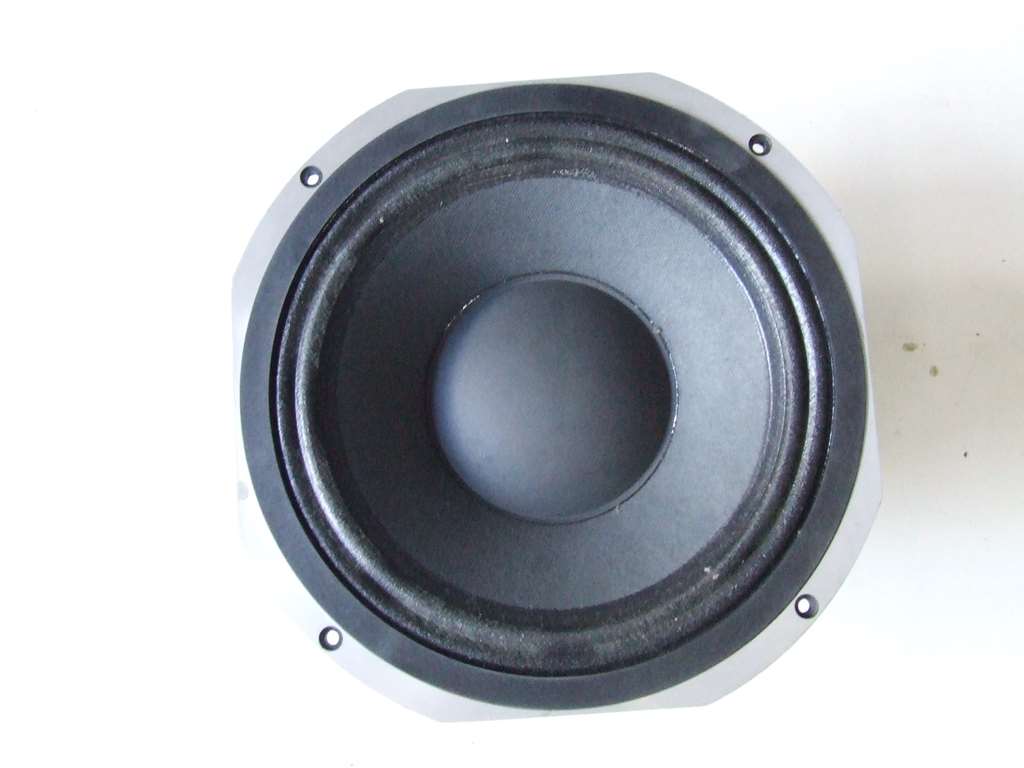 ALTOPARLANTE PROFESSIONALE WOOFER 25CM 10POLLICI S10 64M P.AUDIO