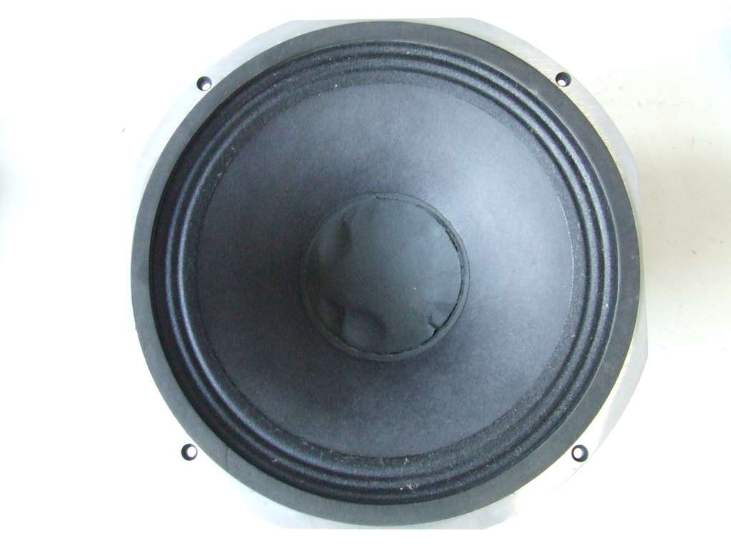 ALTOPARLANTE PROFESSIONALE WOOFER 30 CM 12 POLLICI S1264M